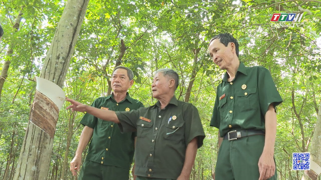 Những cựu chiến binh vượt khó làm giàu | TayNinhTV